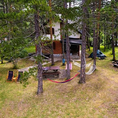 Rustic Home Tara Kaluđerske Bare Extérieur photo