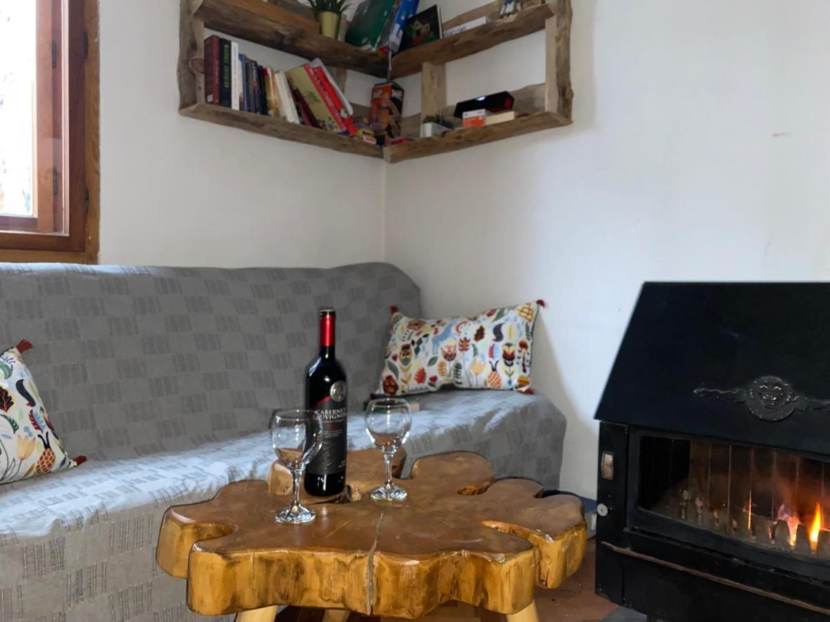 Rustic Home Tara Kaluđerske Bare Extérieur photo
