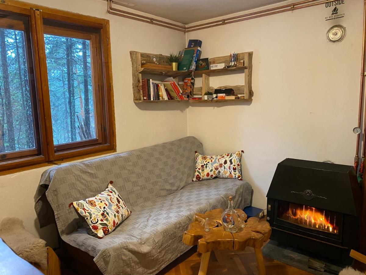 Rustic Home Tara Kaluđerske Bare Extérieur photo