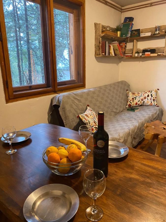 Rustic Home Tara Kaluđerske Bare Extérieur photo