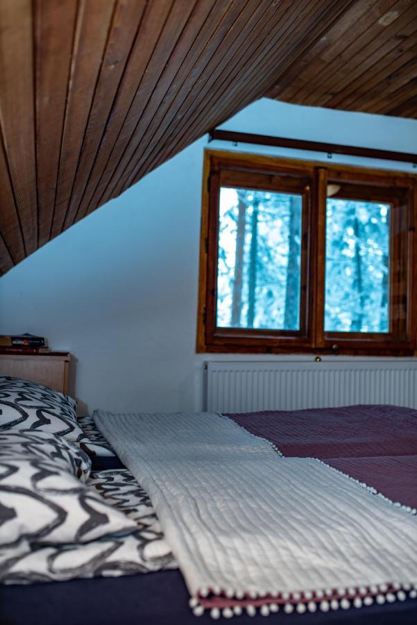 Rustic Home Tara Kaluđerske Bare Extérieur photo
