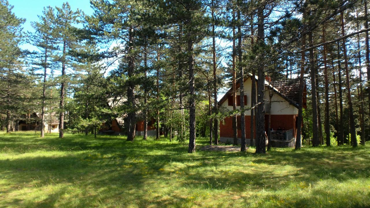 Rustic Home Tara Kaluđerske Bare Extérieur photo